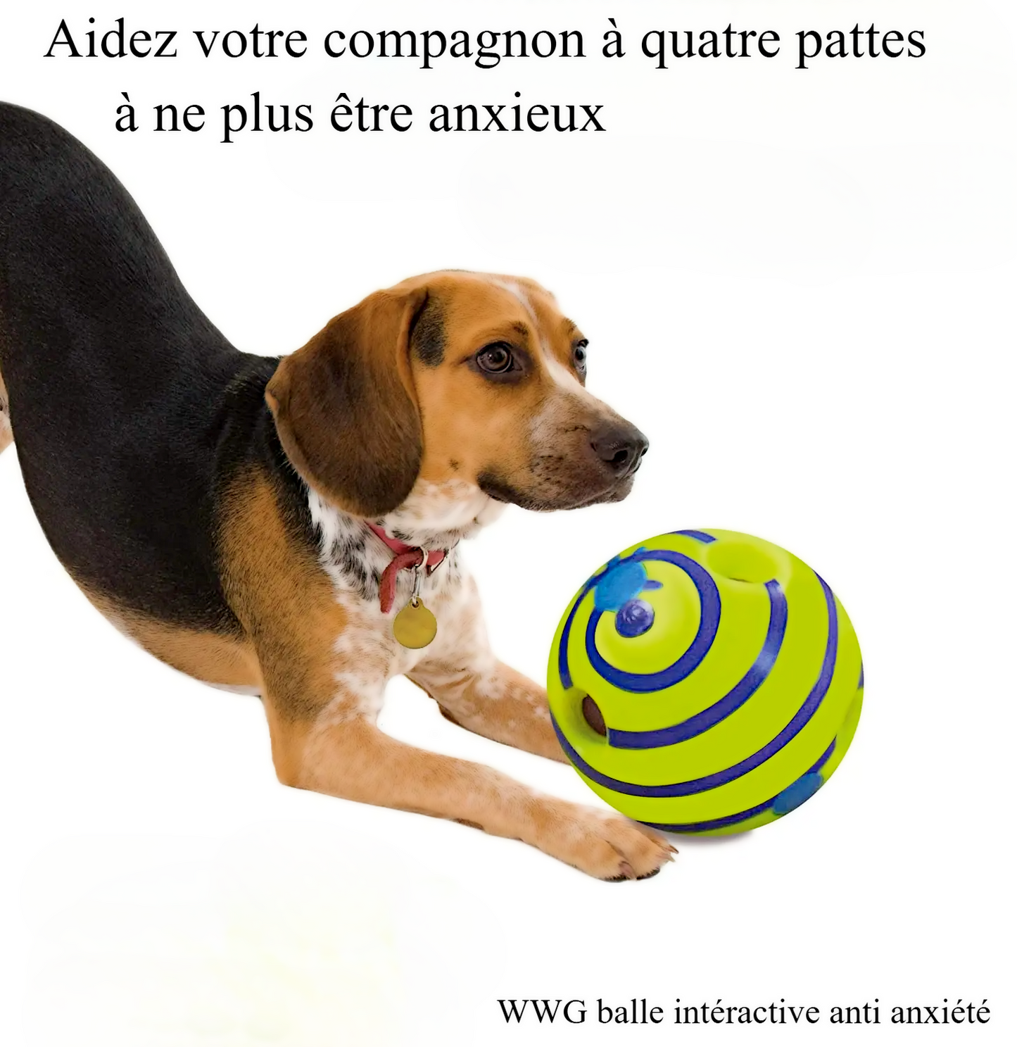 COLLECTION HAMOK | Balle interactive pour chiens