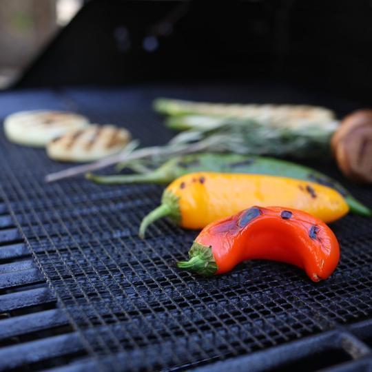 5B | Protection de grille de barbecue ou plancha