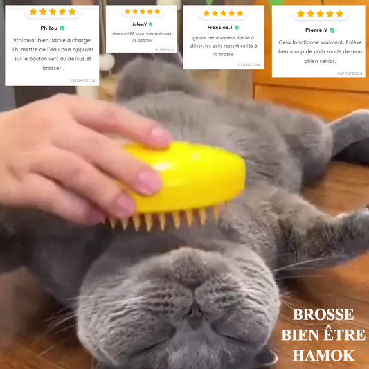 COLLECTION HAMOK | Brosse détente