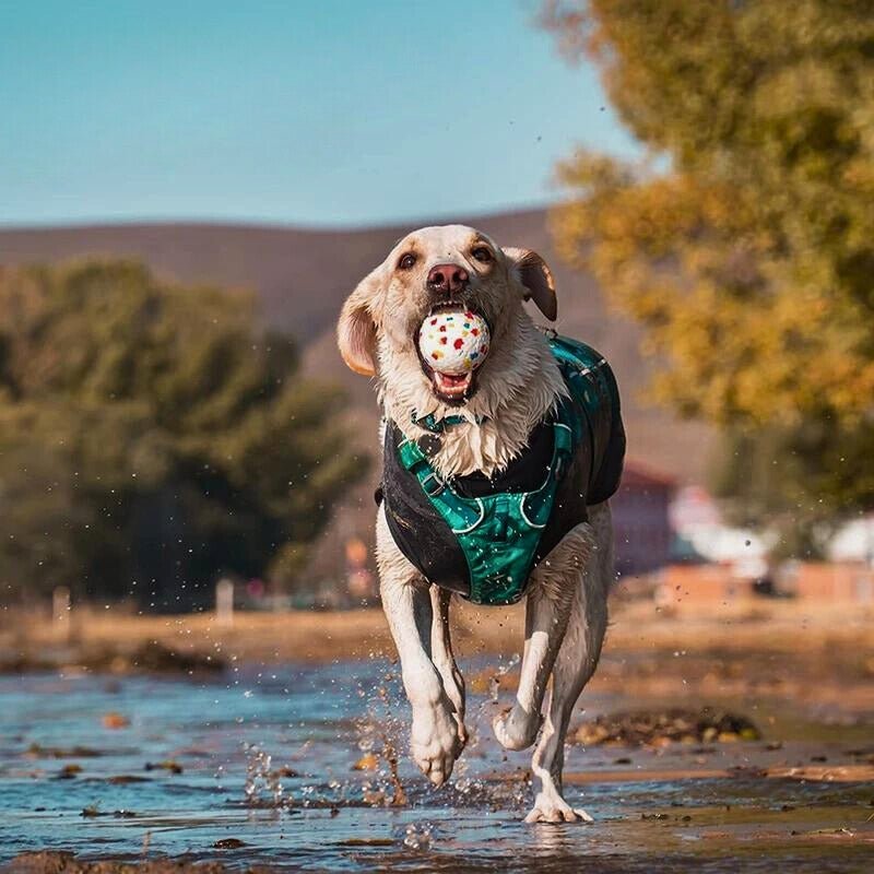 COLLECTION HAMOK| Balle résistante pour chiens