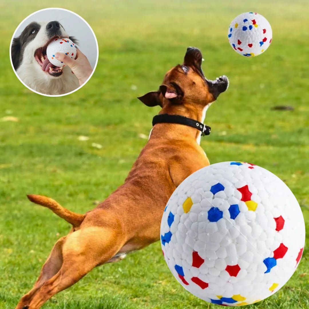 Jouet pour chien | Balle résistante AntiShockBall™ - Toutou Joujou